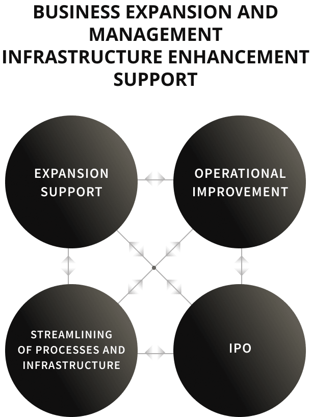 Business Expansion and Management Infrastructure Enhancement Support. Expansion Support+Operational Improvement+Streamlining of Processer and Infrastructure+IPO